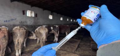 �ap hastal���nda �hastal�ks�z b�lge� kriterleri de�i�ti