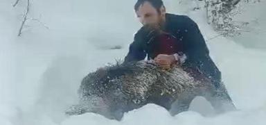 S�r�ye dal�p, ��plak eliyle domuz yakalad�! Ger�e�i anlatt�: Bir an� olsun diye yakalad�m