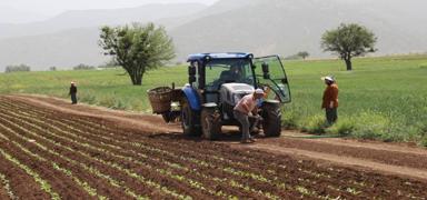 TAKE Projesi ile tar�mda verimlilik: Binlerce �reticiye tohum, fide ve fidan deste�i verildi