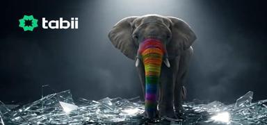 �G�kku�a�� Fazi�mi� Tabii'de