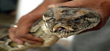 Gece uyan�nca kabusu ya�ad�