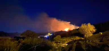 Antalya'da ormanl�k alanda yang�n... Alevler kontrol alt�na al�nd�