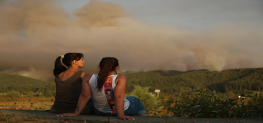 �ili'nin g�neyinde meydana gelen orman yang�nlar�nda 18 ki�i �ld�