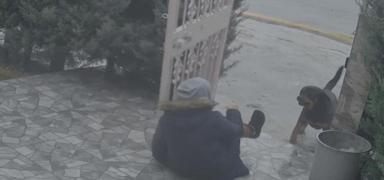 Elmada�'da sahipsiz k�pek deh�eti: Kom�um olmasayd� hayatta olmazd�m