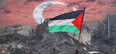 T�rkiye ve 7 �lke devrede