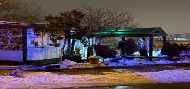 Babas�n�n b�fesini kur�unlay�p ka�t�