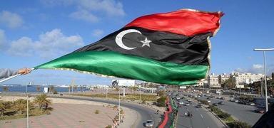 Libya'dan, �lkenin temsil edilmedi�i Tunus'taki toplant�ya tepki