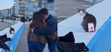 Mudanya'da s�ra d��� foto�raf mesaisi: Kedi 'tripod' g�revi �stlendi