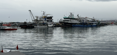 Tekirda�'da lodos deniz ula��m�n� olumsuz etkiliyor