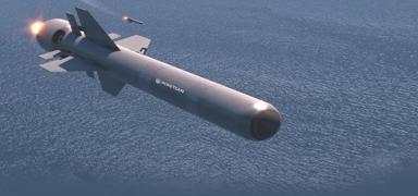 TSK i�in �ok k�ymetli bir m�himmat