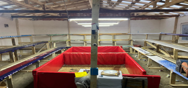 91 ki�i horoz d�v��t�r�rken su��st� yakaland�: 1 milyon 55 bin lira ceza kesildi