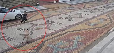 Mardin'de deh�et anlar�: K���k �ocu�u esnaf kurtard�