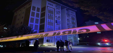 Apartmanda b�cek ilac� facias�