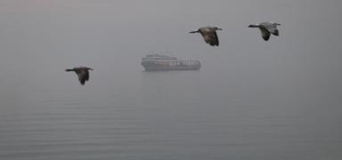 Tekirda�'da deniz ula��m�na sis engeli