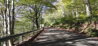 Korunan alan say�s� 700'e dayand�