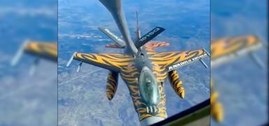 'Romanya hava sahas�nda bir kaplan'