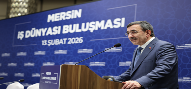 Cumhurba�kan� Yard�mc�s� Y�lmaz: Do�rudan yat�r�mlar d�nyada daral�rken, T�rkiye'de art��ta