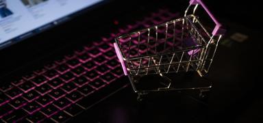 e-Ticaret doland�r�c�lar�na darbe: �ok say�da g�zalt� var