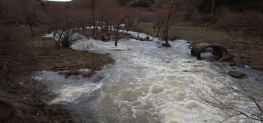 �ank�r�'daki barajlardan m�jdeli haber: Son ya���larla y�zde 20,38'e ��kt�