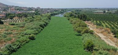 Do�ada 'k�rm�z� liste' d�nemi