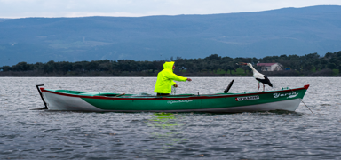 T�rkiye'nin bekledi�i bulu�ma ger�ekle�ti! Yaren Leylek 15. y�lda da g���p geldi