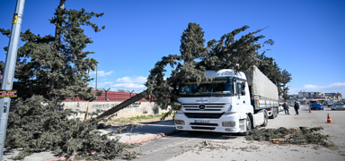 Adana'da kuvvetli r�zgar hayat� fel� etti: A�a�lar devrildi, �at�lar u�tu