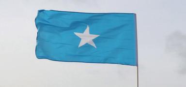 Somali'de meclis yeni anayasay� kabul etti: Cumhurba�kan� do�u�tan vatanda� olmak zorunda