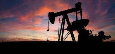 Do�u Asya �lkesinden ham petrol karar�