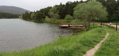 Bakanl�k'tan 'milli parklar imara a��l�yor' iddias�na yalanlama