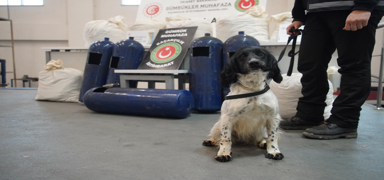 Narkotik k�pekleri g�z a�t�rmad�: LPG tank�nda onlarca kilo uyu�turucu bulundu