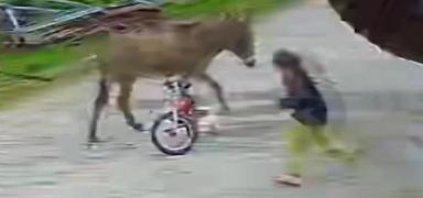 5 ya��ndaki �ocu�u tekmeleyerek �s�rd�