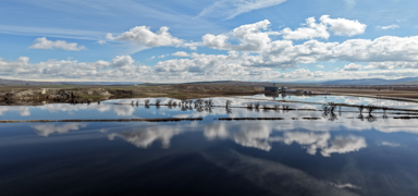 Sivas'ta ya�murun ard�ndan olu�an birikintiler ku�lar�n durak noktas� oldu