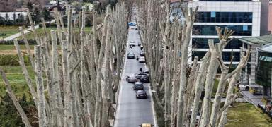 �� bilmez �BB 500 y�ll�k miras� katletti