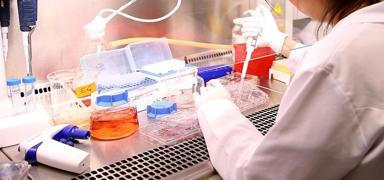 T�rkiye'de uygulanmaya ba�land�