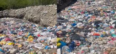 CHP'li belediyeden �evre katliam�