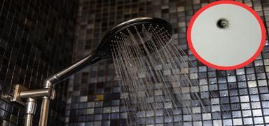 'Y�lan kameral�' r�ntgenci deh�eti